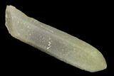 Sage-Green Quartz Crystal with Dual Core - Mongolia #169914-1
